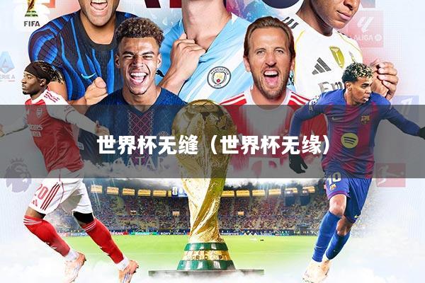 世界杯无缝(世界杯无缘)