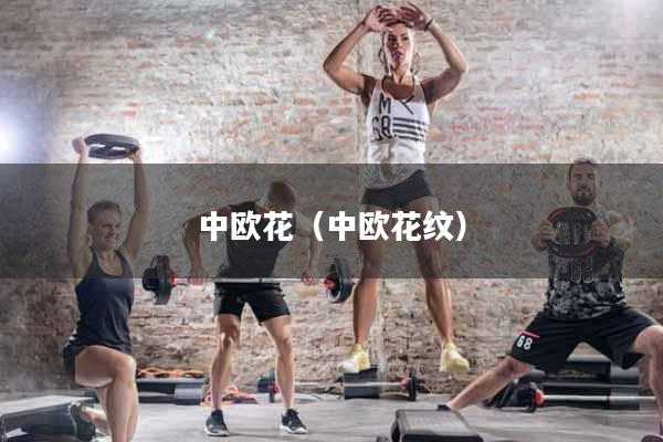 详细阅读:中欧花(中欧花纹) 中欧花(中欧花纹)