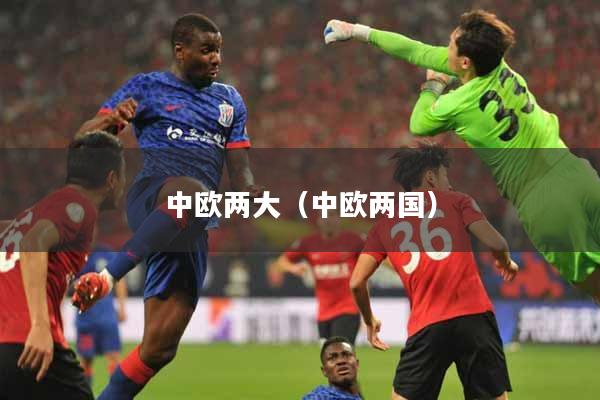 详细阅读:中欧两大(中欧两国) 中欧两大(中欧两国)
