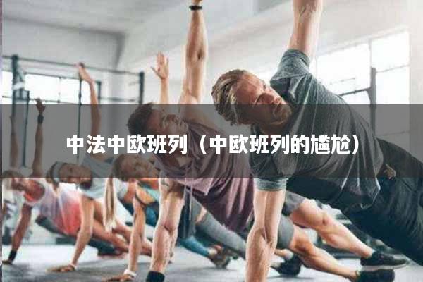 详细阅读:中法中欧班列(中欧班列的尴尬) 中法中欧班列(中欧班列的尴尬)