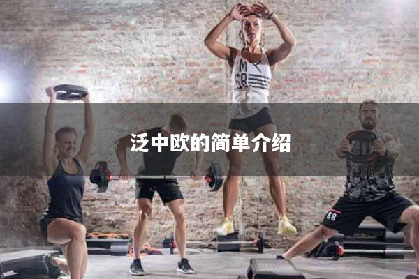 详细阅读:泛中欧的简单介绍 泛中欧的简单介绍