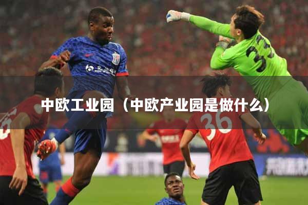 中欧工业园（中欧产业园是做什么）