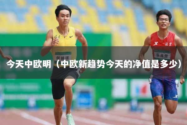 今天中欧明（中欧新趋势今天的净值是多少）