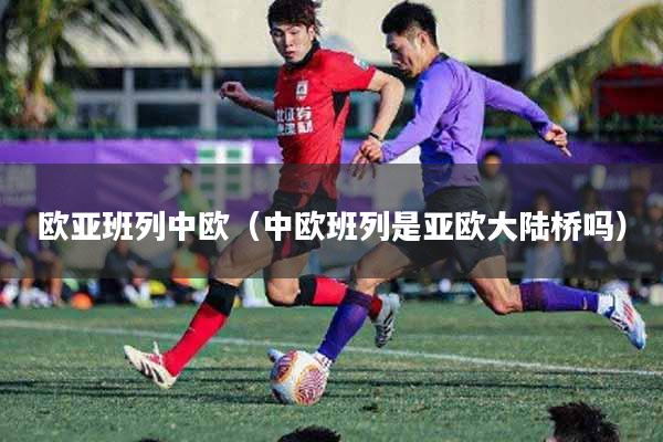 欧亚班列中欧（中欧班列是亚欧大陆桥吗）