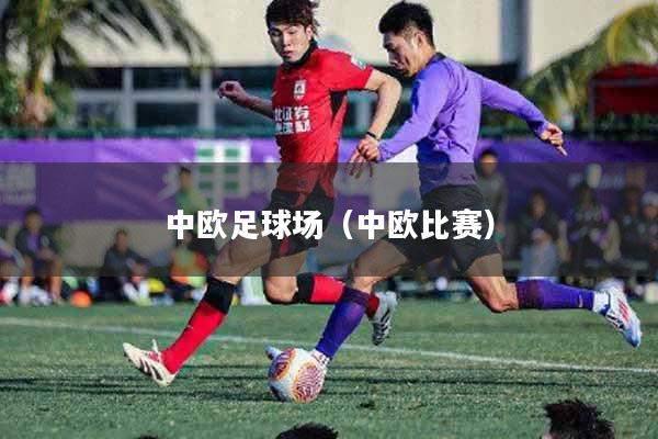 中欧足球场（中欧比赛）