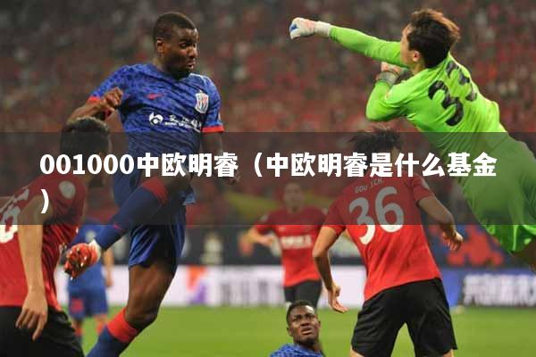 001000中欧明睿（中欧明睿是什么基金）