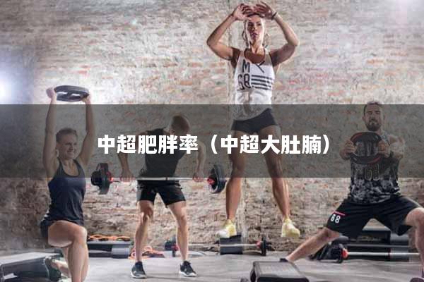 中超肥胖率（中超大肚腩）